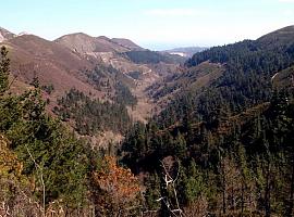 Llanes consensúa con los vecinos el proyecto de los bosques autóctonos