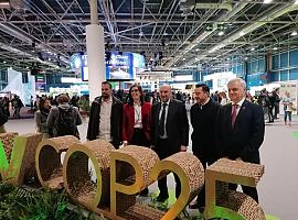 Asturias aboga por la concertación social en la transición hacia una economía baja en carbono