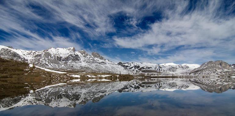 La Reserva de la Biosfera Alto Bernesga acoge 12 especies de flora protegidas