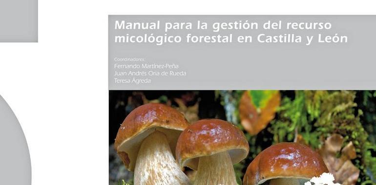 Un manual recoge los avances científicos en micología forestal en Castilla y León