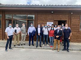 Asturias duplica sus 'guerreros' contra la avispa asiática
