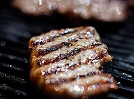 ¿Qué tal una Barbacoa con la sabrosa Carne de Vacuno?