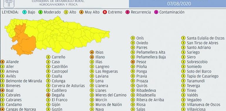 Riesgo elevado a muy elevado de incendios forestales en Asturias