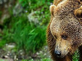 Asturias defiende su turismo sostenible en la Red Natura 2000