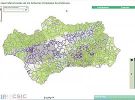 ¿Cuánto vale un bosque? Ya hay una herramienta que te dice el valor de cualquier recurso natural