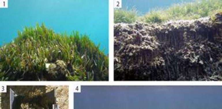 La contaminación por metales en el Mediterráneo comenzó hace 2.800 años