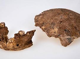 La especie 'Homo' incorpora un nuevo tipo hallado en Israel