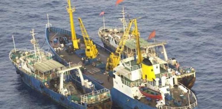 Greenpeace exige una investigación exhaustiva a la red de barcos y empresas de Manuel Antonio Vidal 