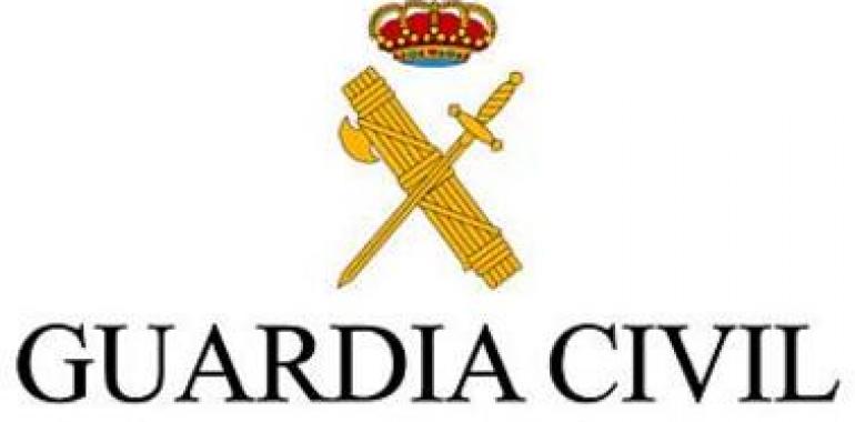 La Guardia Civil desarticula una activa banda especializada en el robo de mercancía de camiones