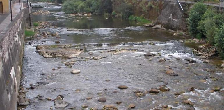 Salen a licitación las obras de mejora en los ríos Piloña y Chico, en Arriondas, con un presupuesto de 3,2 millones