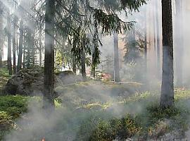 La semana 'africana' en Asturias obliga a iniciar el protocolo ante indendios forestales