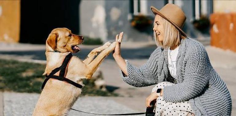Se acerca San Valentín ¿el amor a tu mascota también cuenta en esto?