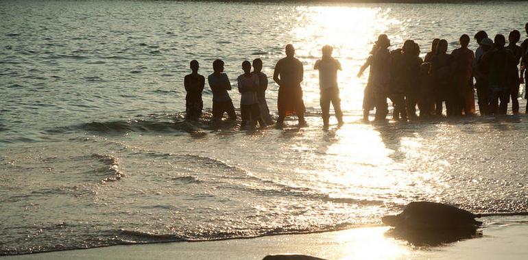 Liberación de ejemplares de Tortuga en Mazunte