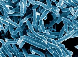 ¿Por qué no podemos acabar defintivamente con la tuberculosis