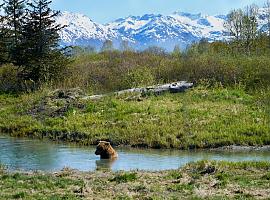 ¿Quieres conocer algunos “Consejos para recorrer las montañas del oso pardo”