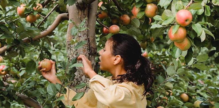 35,9 millones a ayudas para la incorporación de jóvenes a la actividad agraria, la modernización de explotaciones y la prevención de daños por fauna salvaje