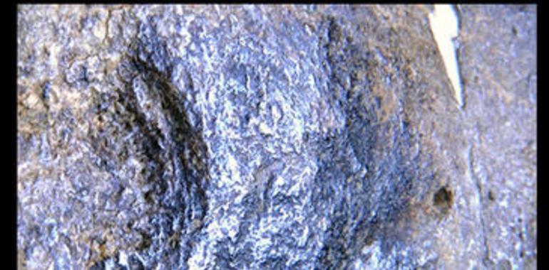 A palos...hace 126.000 años