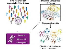 Completado el mapa genómico de la leucemia linfática crónica