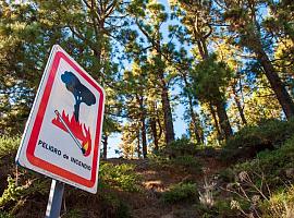 Asturias dedica 3,54 millones al desarrollo de zonas forestales y prevenir incendios