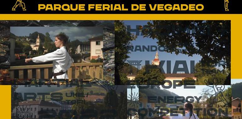 Vegadeo acogerá este fin de semana el campeonato de Eruopa de defensa personal