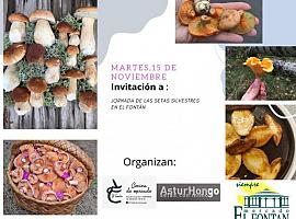 El mercado del Fontán de Oviedo ofrece este próximo martes I Jornadas de las setas silvestres de otoño