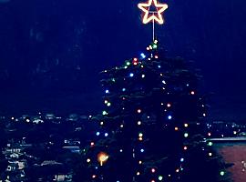 ¿No quieres poner las luces del Árbol de Navidad por el coste de la luz Tranquilo, te costarán unos 86 céntimos toda la Navidad
