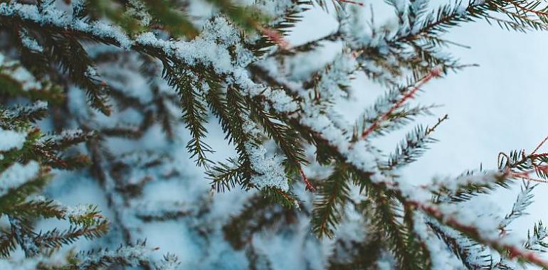 Volvemos a la fase de preemergencia en cuanto a riesgo de nevadas en Asturias