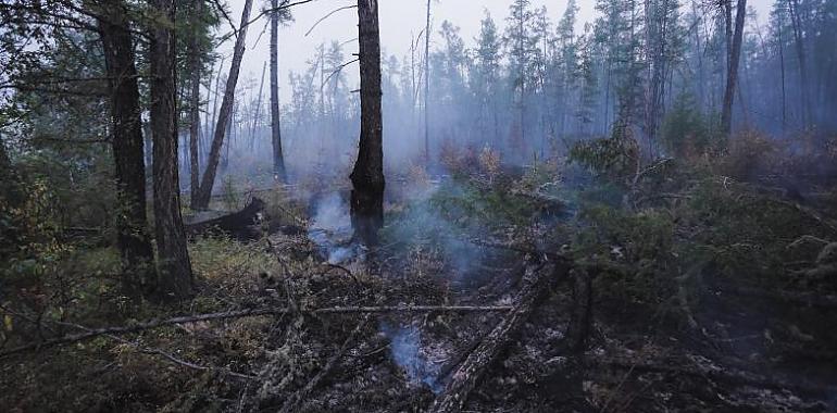 Por fin se han extinguido los incendios forestales de estos últimos días y se ha regresado a la fase de ALERTA