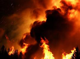 Los incendios forestales siguen devastando nuestra región
