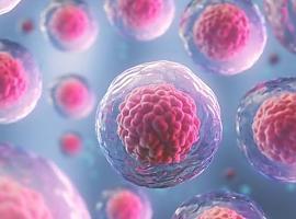 Células madre modificadas genéticamente para luchar contra el cáncer