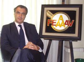 Gallego Nadal, elegido nuevo presidente de la CEAVYT
