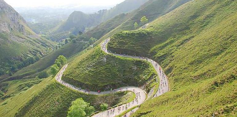 Personas atrapadas tras un vuelco de un autobús en la carretera de los Lagos de Covadonga