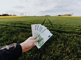 7,5 millones los proyectos de 61 empresas para desarrollar productos agrícolas y tecnologías forestales