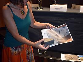 Nueva especie de invertebrados marinos hallada en Asturias