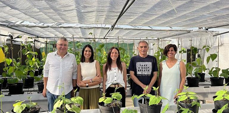 El Serida participa en un proyecto internacional para impulsar la mejora genética de las legumbres en Europa