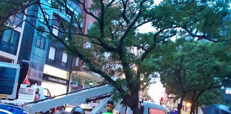 Distintas incidencias del temporal de lluvia y viento en Avilés