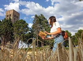 BeRurals, la iniciativa para el emprendimiento innovador rural