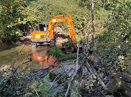 Ríos renovados: La mejora fluvial de Asturias de la mano de la Confederación Hidrográfica del Cantábrico