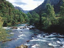 Medio Rural impone cupos de pesca para salvaguardar los salmónidos: 620 ejemplares bajo vigilancia en 2024