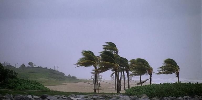 Asturias en Alerta: Más de 70 emergencias por el azote de vientos de hasta 90 km/h