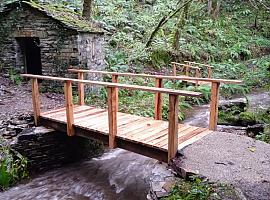 Inversión de 100.000 euros en Taramundi para proyectos de mejora de la Reserva de la Biosfera OscosEo
