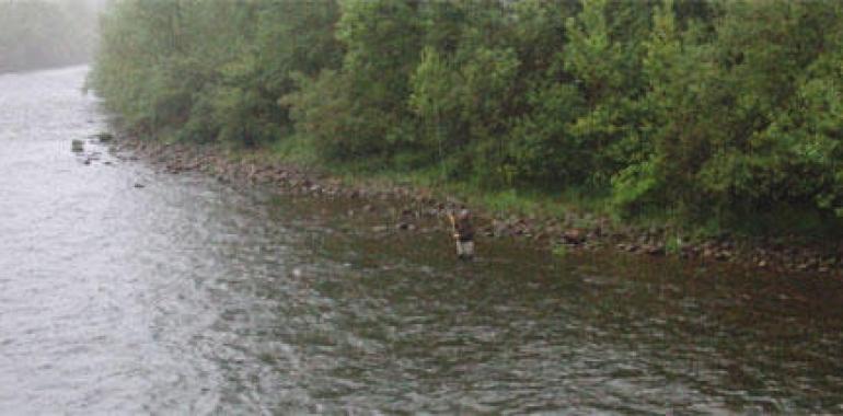 58 salmones para empezar...la temporada