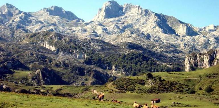 La Red Natural de Asturias se afianza como líder en educación ambiental con una inversión de 7 millones en 3 años