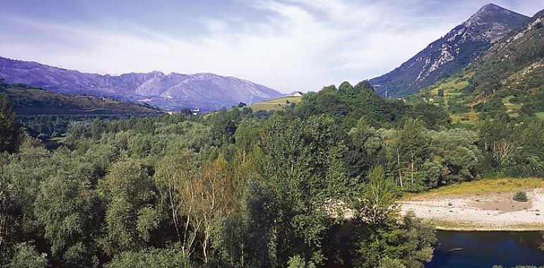 Campaña de desbroce para proteger espacios naturales y prevenir incendios