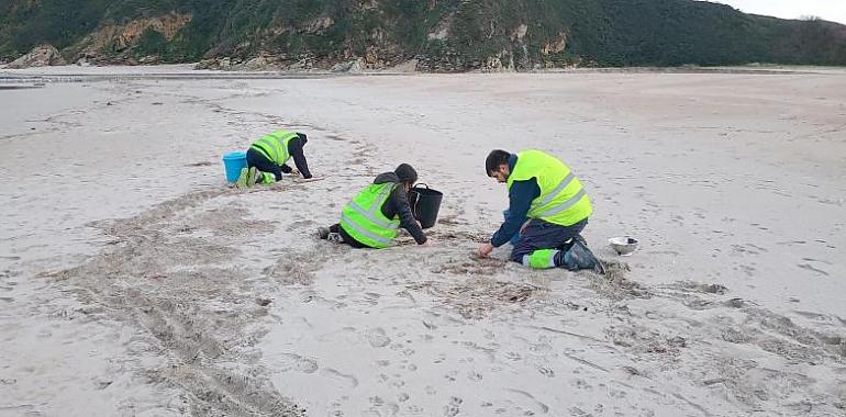 Se eleva a la fase 2 el Plan por Contaminación Marina Accidental ante la detección de microplásticos en la costa