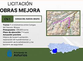 600.000 euros para la mejora de la carretera CN1, que une Cangas del Narcea y Bisuyu