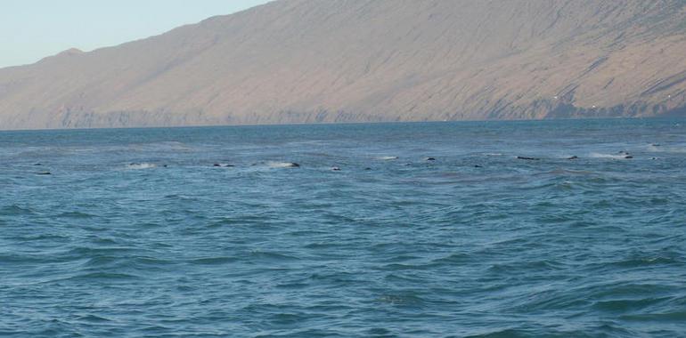 Los buques oceanográficos continúan sus trabajos de investigación en aguas de El Hierro