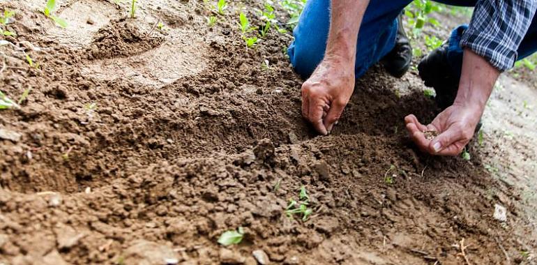 Greenpeace publica su análisis de lo que está ocurriendo con los agricultores