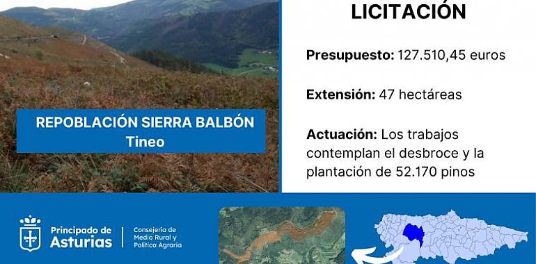 La sierra de Balbón recupera su verde: 47 hectáreas renacen con miles de pinos