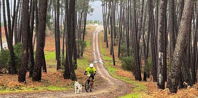 II Copa de Asturias de Mushing